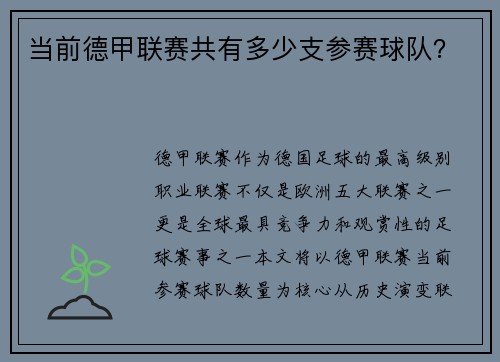 当前德甲联赛共有多少支参赛球队？